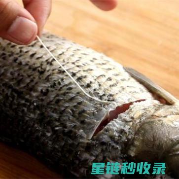 去除鱼腥味，食材处理与烹饪技巧并重 (去除鱼腥味的有效方法)