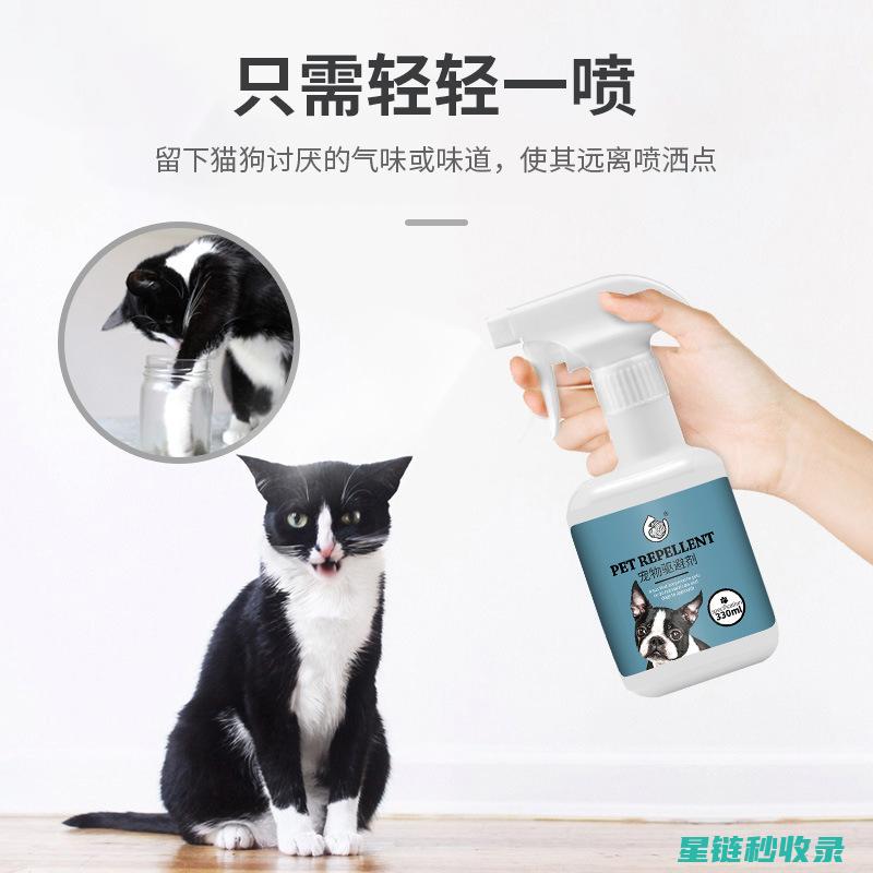 宠物异味去除：这些方法能让你的宠物闻起来更清爽 (宠物异味去除公司)
