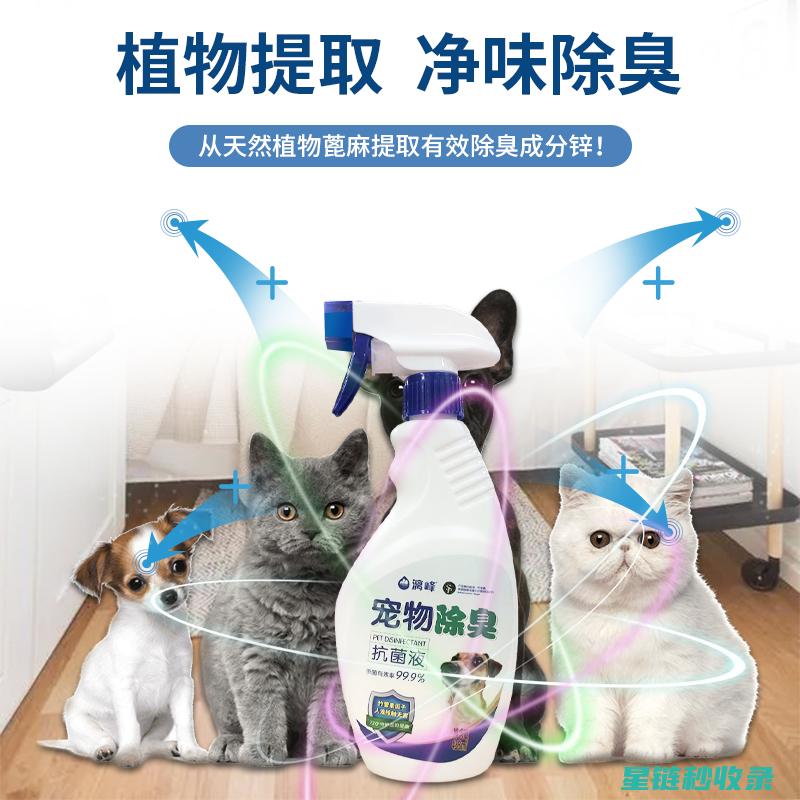 宠物异味去除：这些方法能让你的宠物重新散发魅力 (宠物异味去除公司)