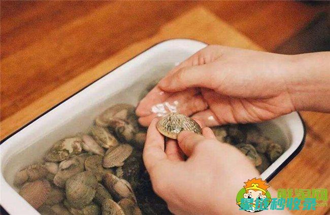 贝类吐沙：解读海洋生态系统中的微妙平衡 (贝类吐沙时,在水里放入什么会有奇效?)