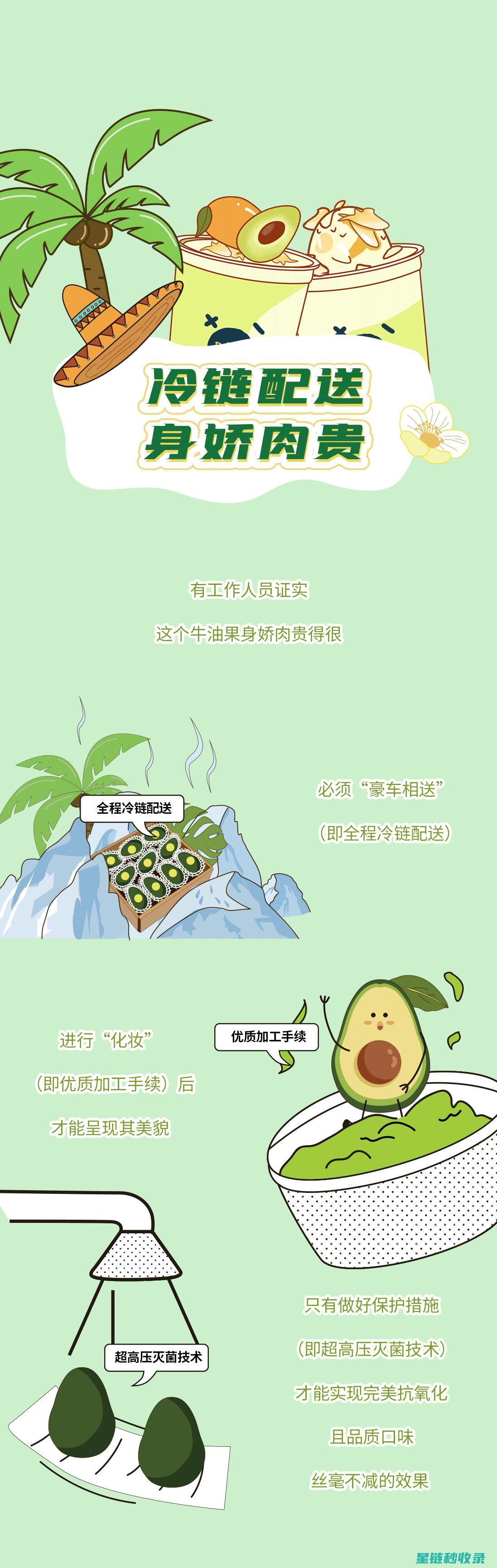 延长牛油果新鲜度的关键：防止氧化的小秘诀 (延长牛油果存放时间)