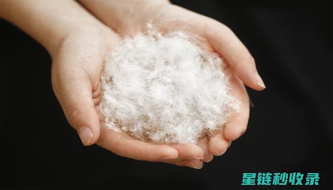 羽绒服有异味？教你几种快速去除的方法！ (羽绒服有异味是什么原因)