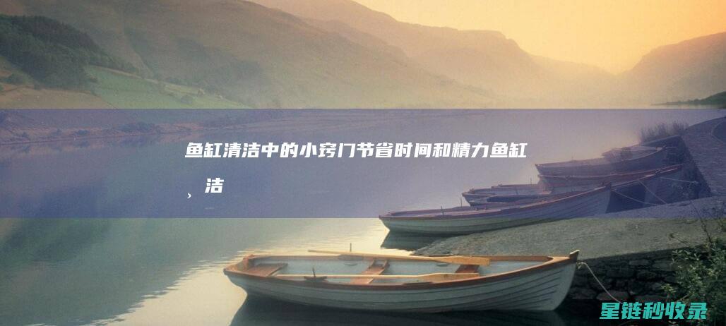 鱼缸清洁中的小窍门：节省时间和精力 (鱼缸清洁中的污垢)